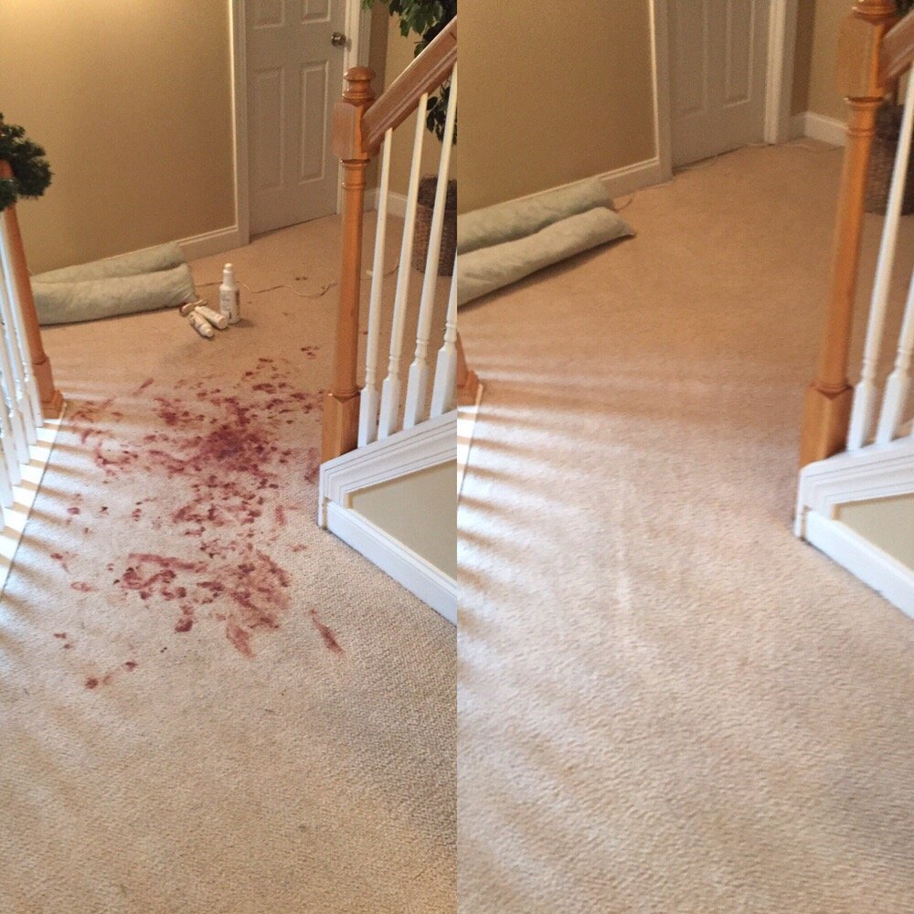 How to remove dried blood stains from carpet and clothes 